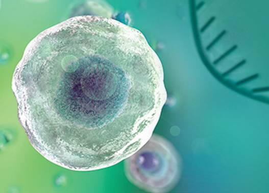 More potent gene silencing