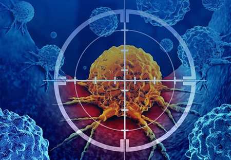 Obesity & Metabolic Disorders